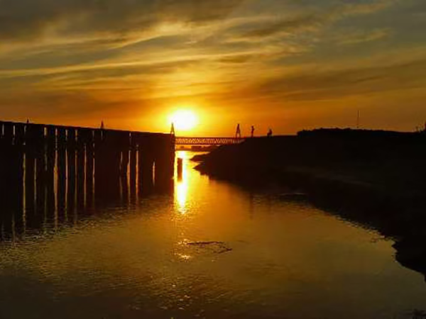 這是不是你理想中的田園生活？！——蔣莊鄉(xiāng)金豫河智能溫棚產(chǎn)業(yè)基地