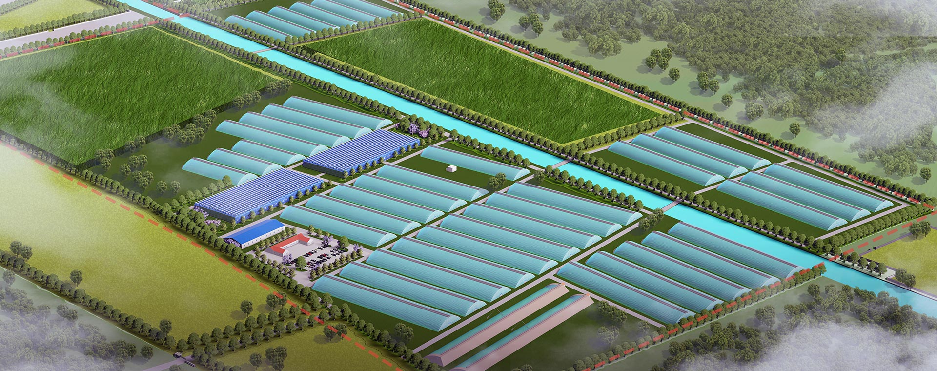 靳堂鄉(xiāng)智能溫棚