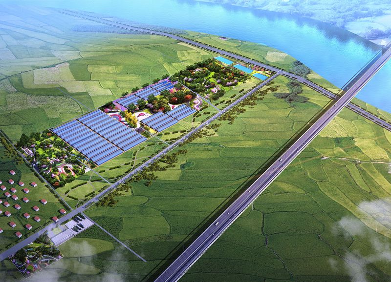 蔣莊鄉(xiāng)蔬菜大棚